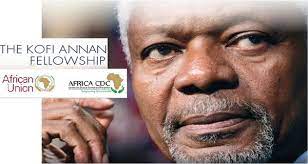 Kofi Annan Fellowship Programme